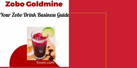 How to start and grow a zobo drink business