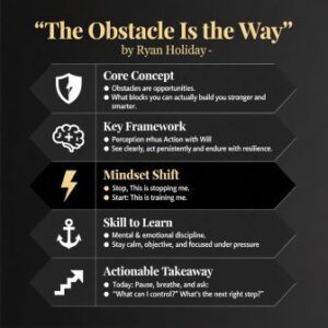 The Obstacle is the Way Summary 4 The Obstacle is the way infographic