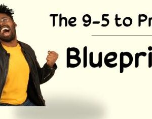The 9-5 to profit blueprint